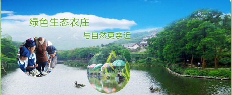 景旺電子公司員工活動嗨翻深圳農家樂九龍生態園