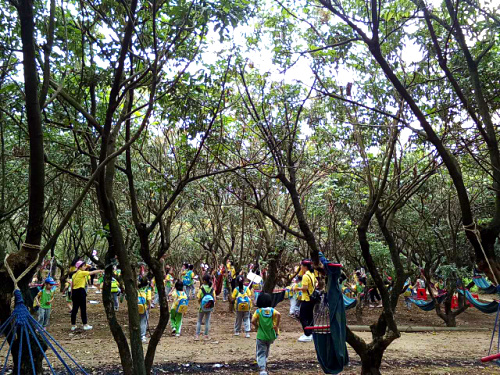 深圳農家樂九龍山生態園迎來陽升幼兒園大班親子游畢業典禮之旅
