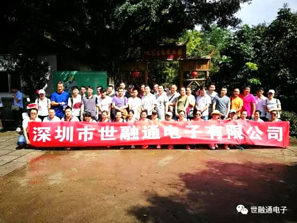 世融通電子公司組織員工在深圳九龍山莊拓展訓練