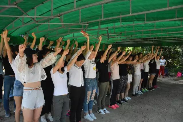 眾金在線員工戶外團(tuán)隊(duì)拓展活動(dòng)在深圳農(nóng)家樂(lè)九龍山生態(tài)園展開(kāi)