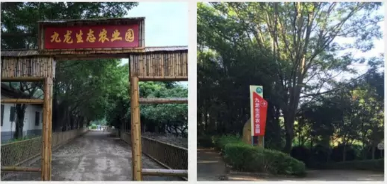 景區大門口.png