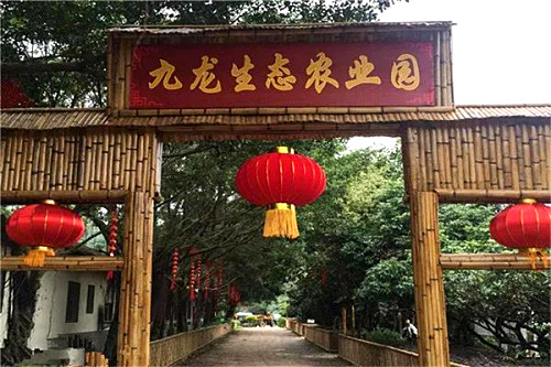 九龍生態農業園.jpg