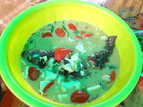 水庫魚.jpg
