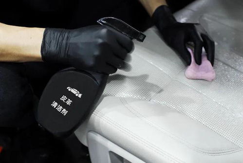 實驗視頻 來自實驗室的超級皮革清潔劑 輕松解決皮革制品污漬